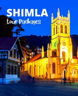 Shimla