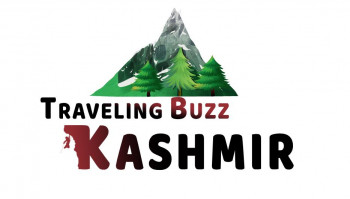 Traveling Buzz kashmir