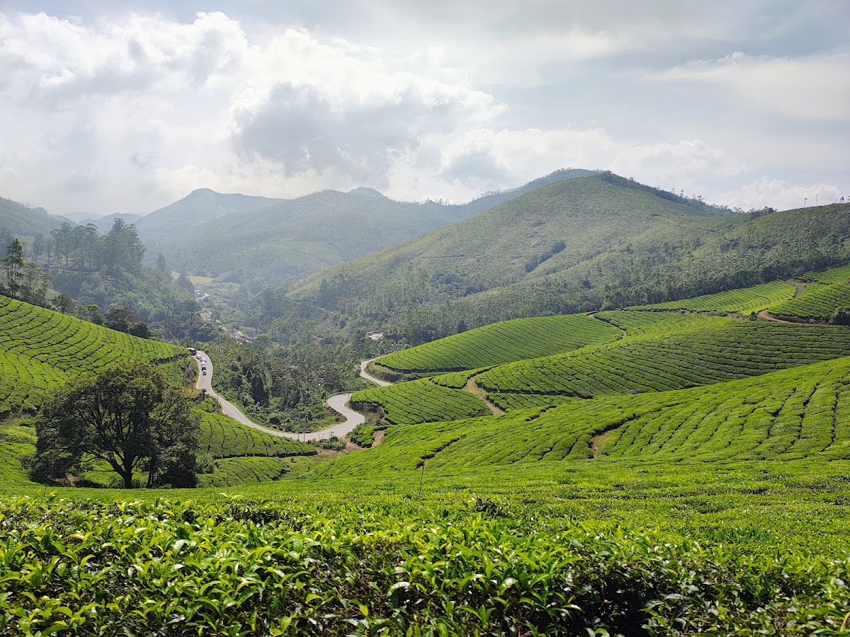 Ready Set Trip Private Limited photo