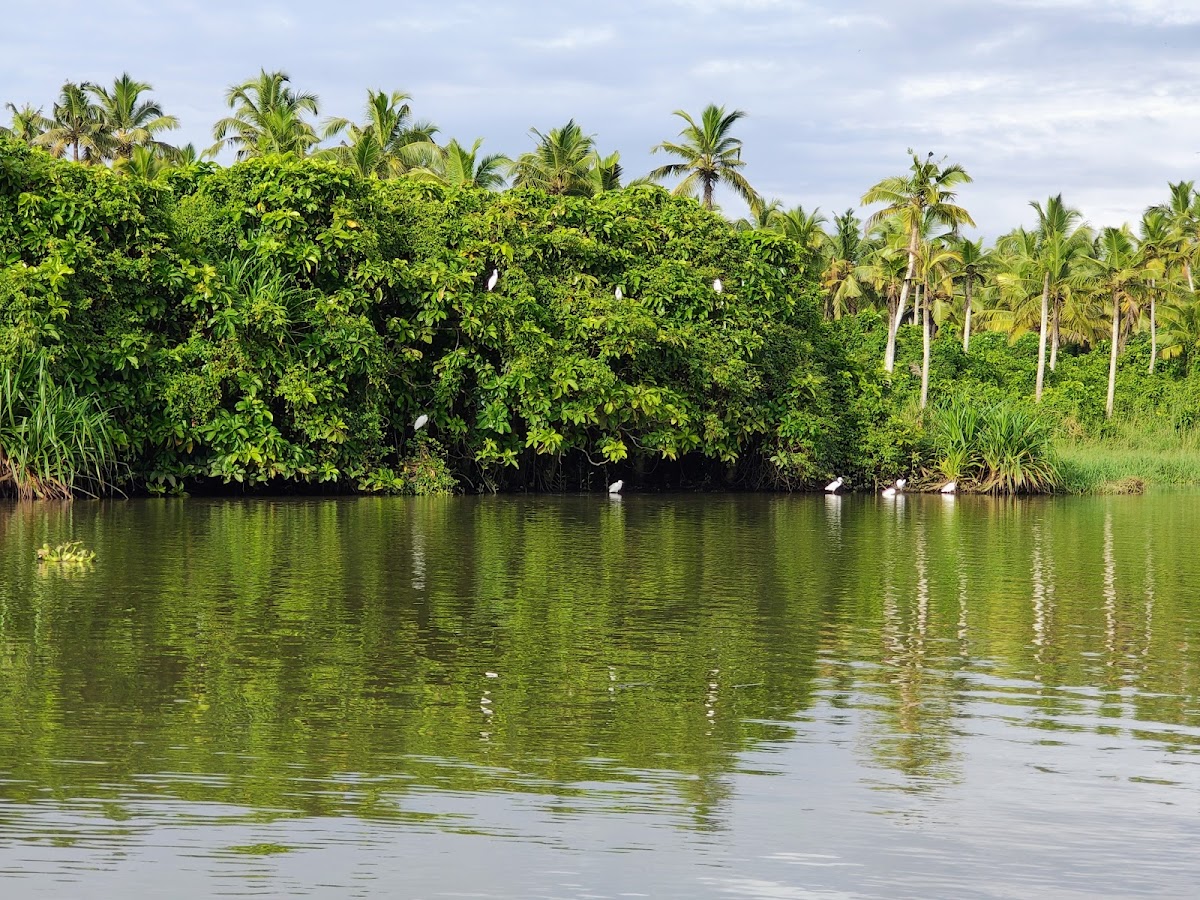 Ready Set Trip Private Limited photo 2