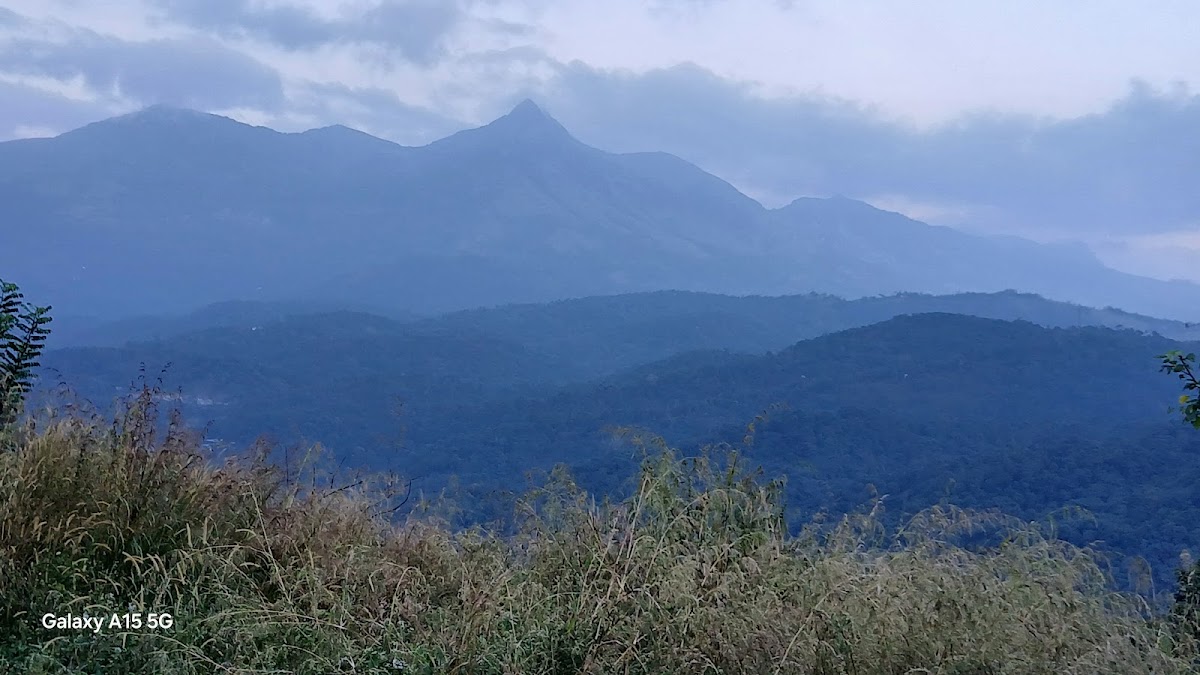 Ready Set Trip Private Limited photo 3