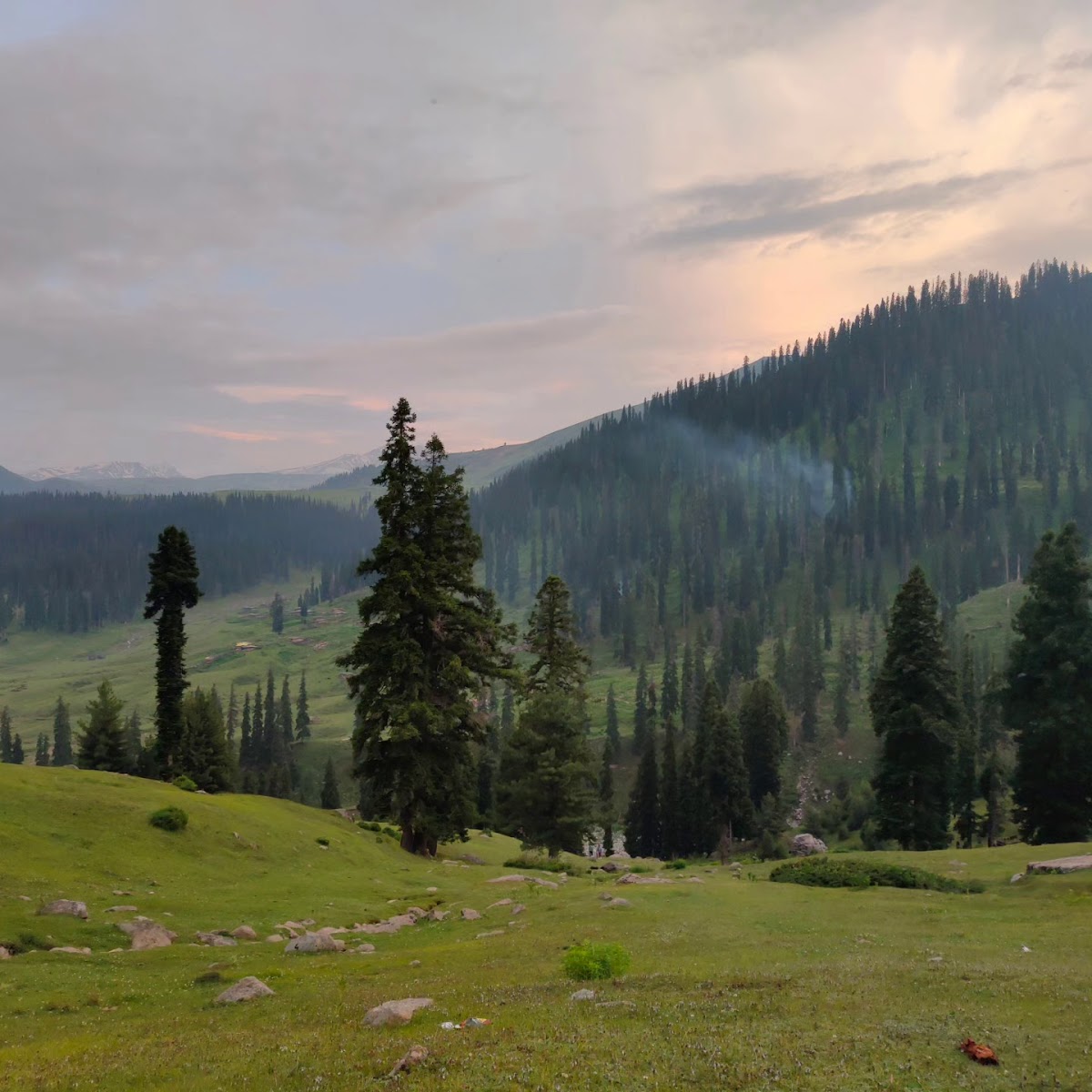 The Trip Expert photo 3