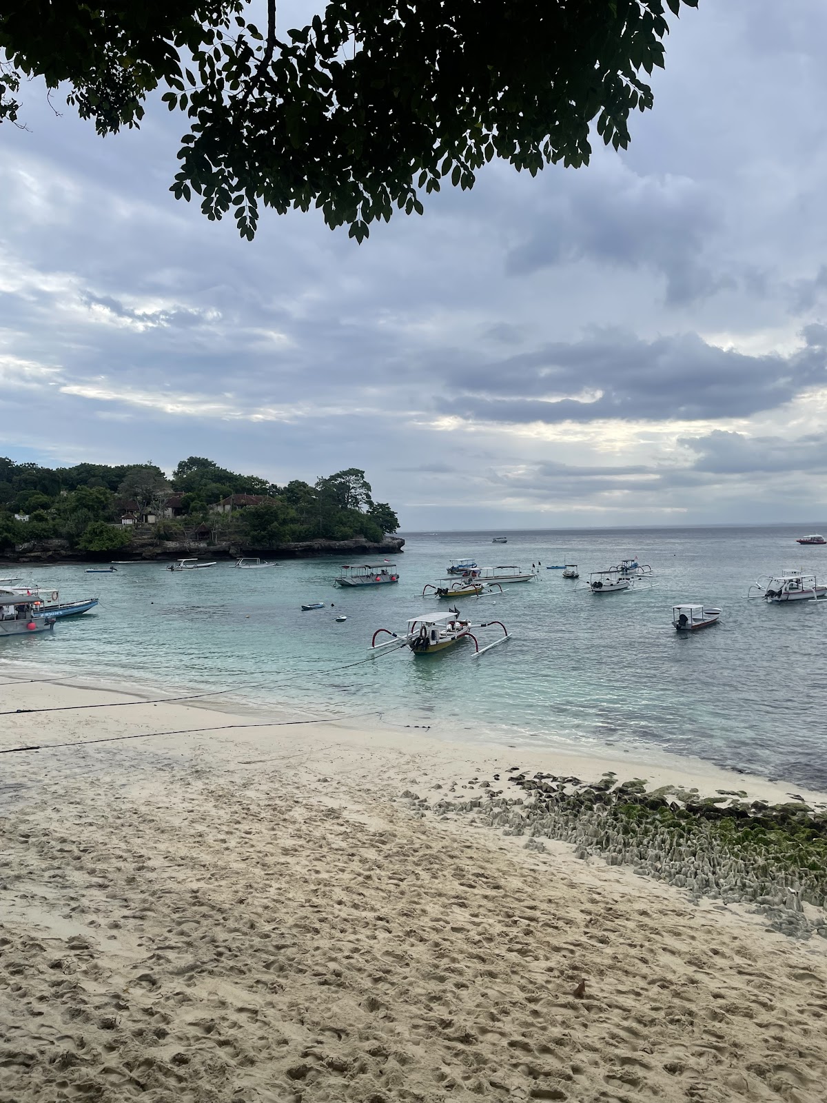 ALS Destinations photo 3