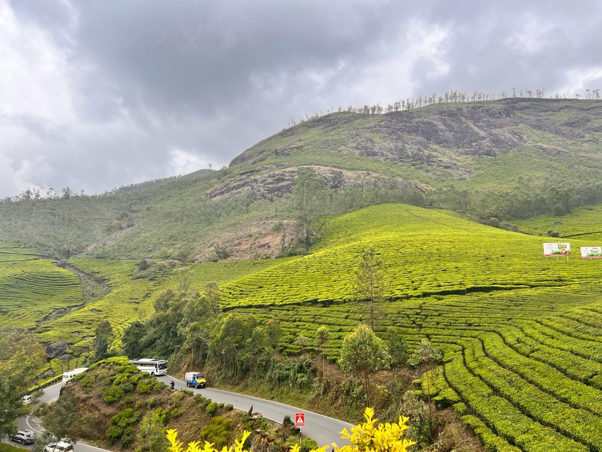 Raisoone Travels and Holidays Pvt Ltd photo 2