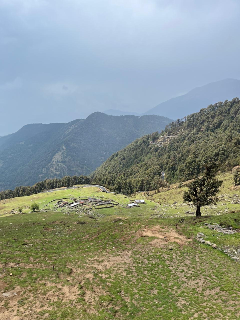 Traowl India photo 2