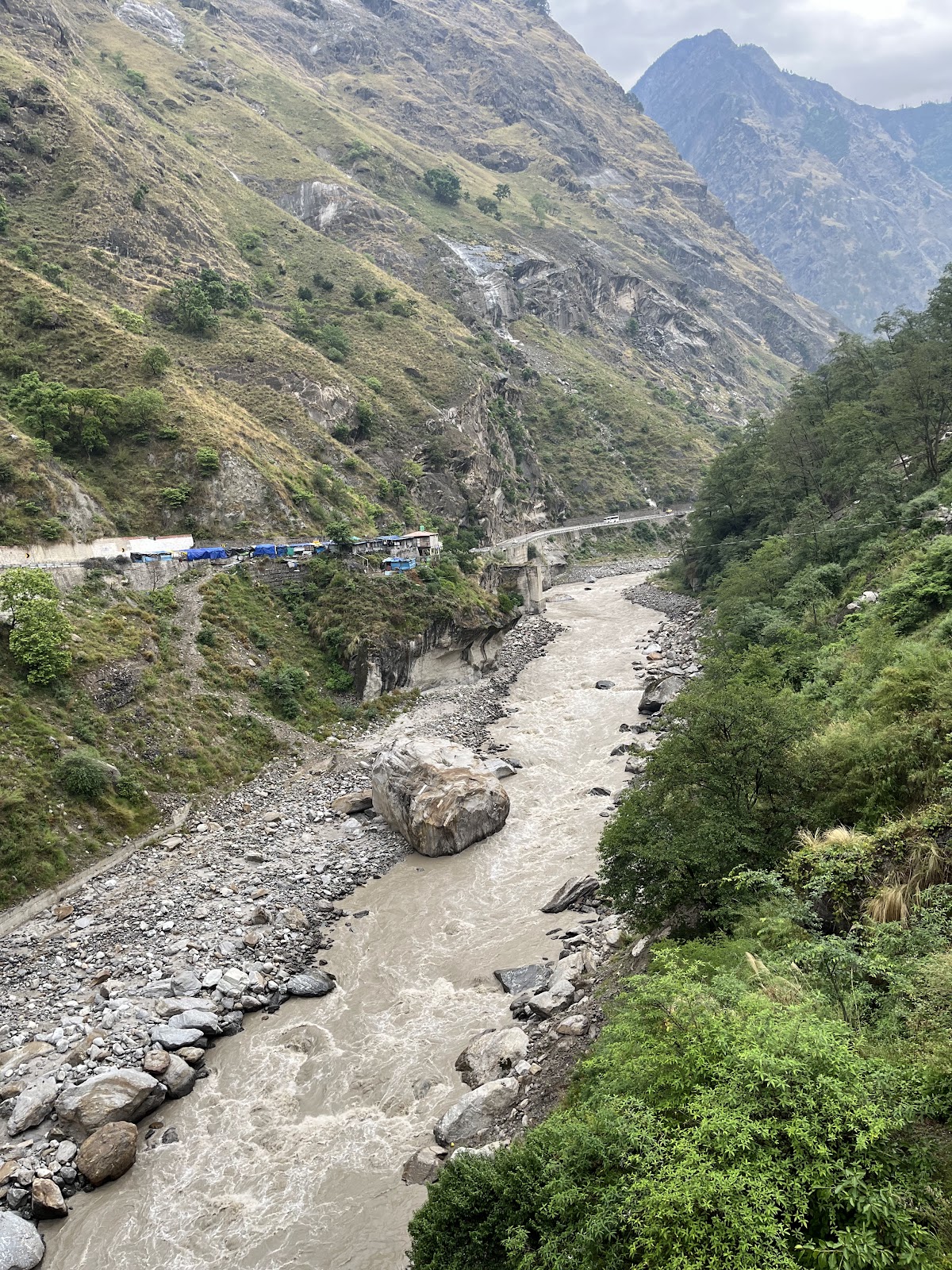 Traowl India photo 3