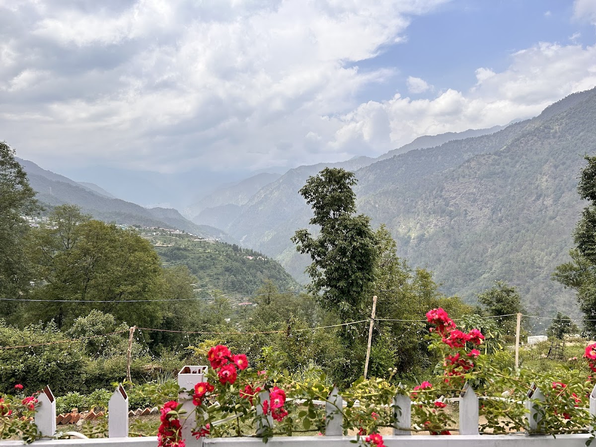 Traowl India photo 4