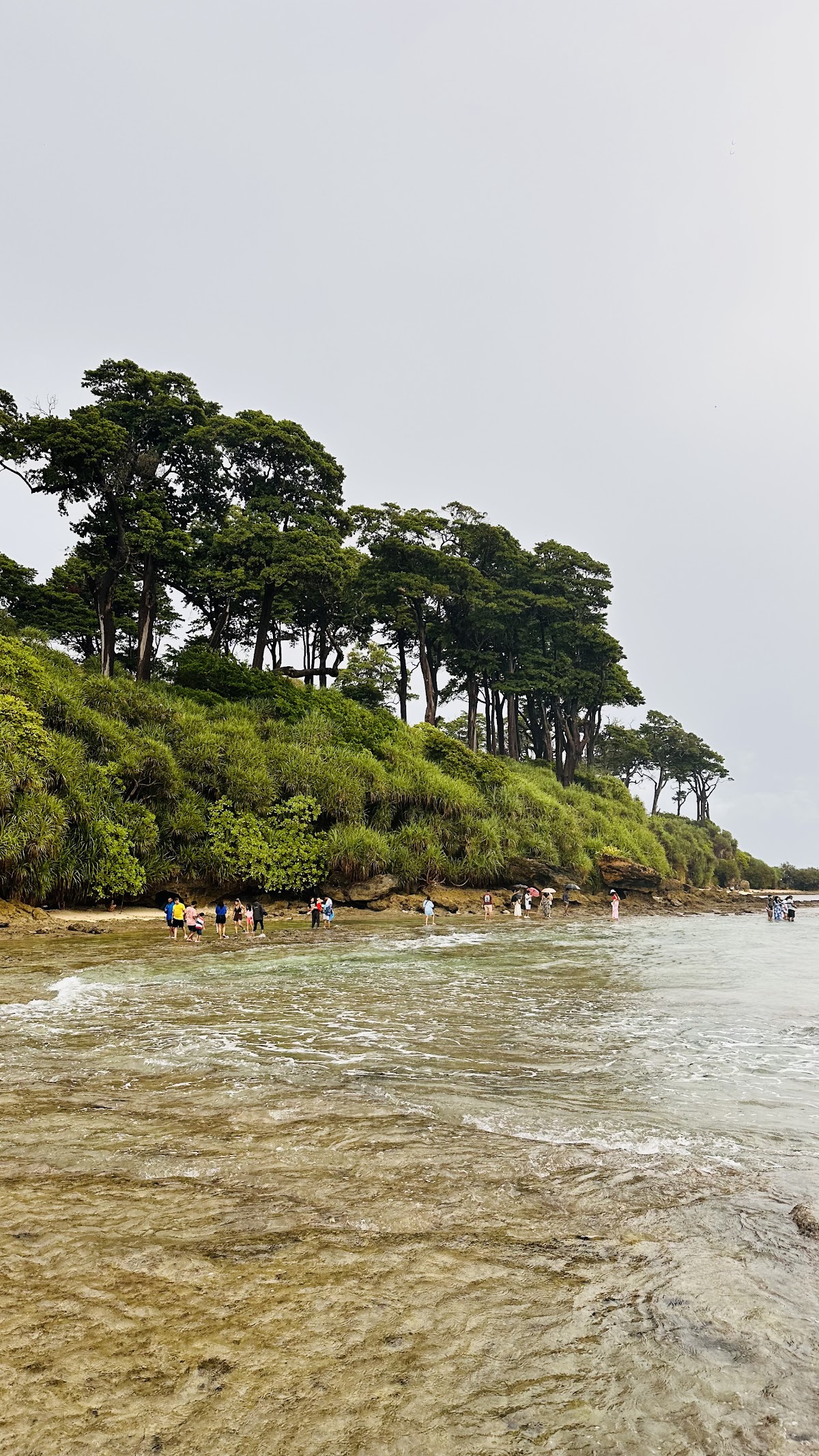 Holidays Andaman Tours and Travels photo