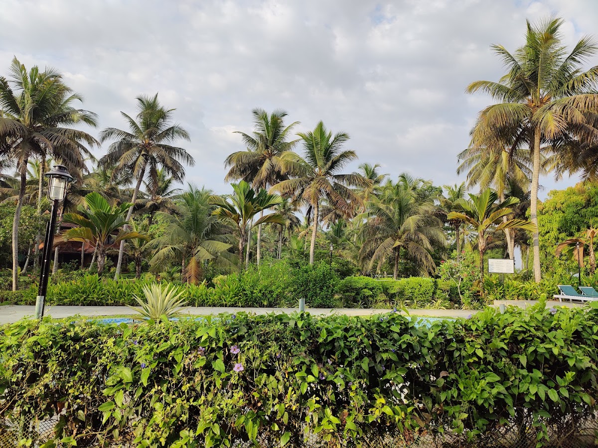 Vihari Vacations photo