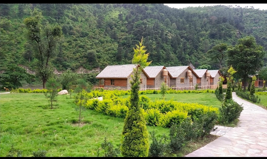 Tripkart Travels photo