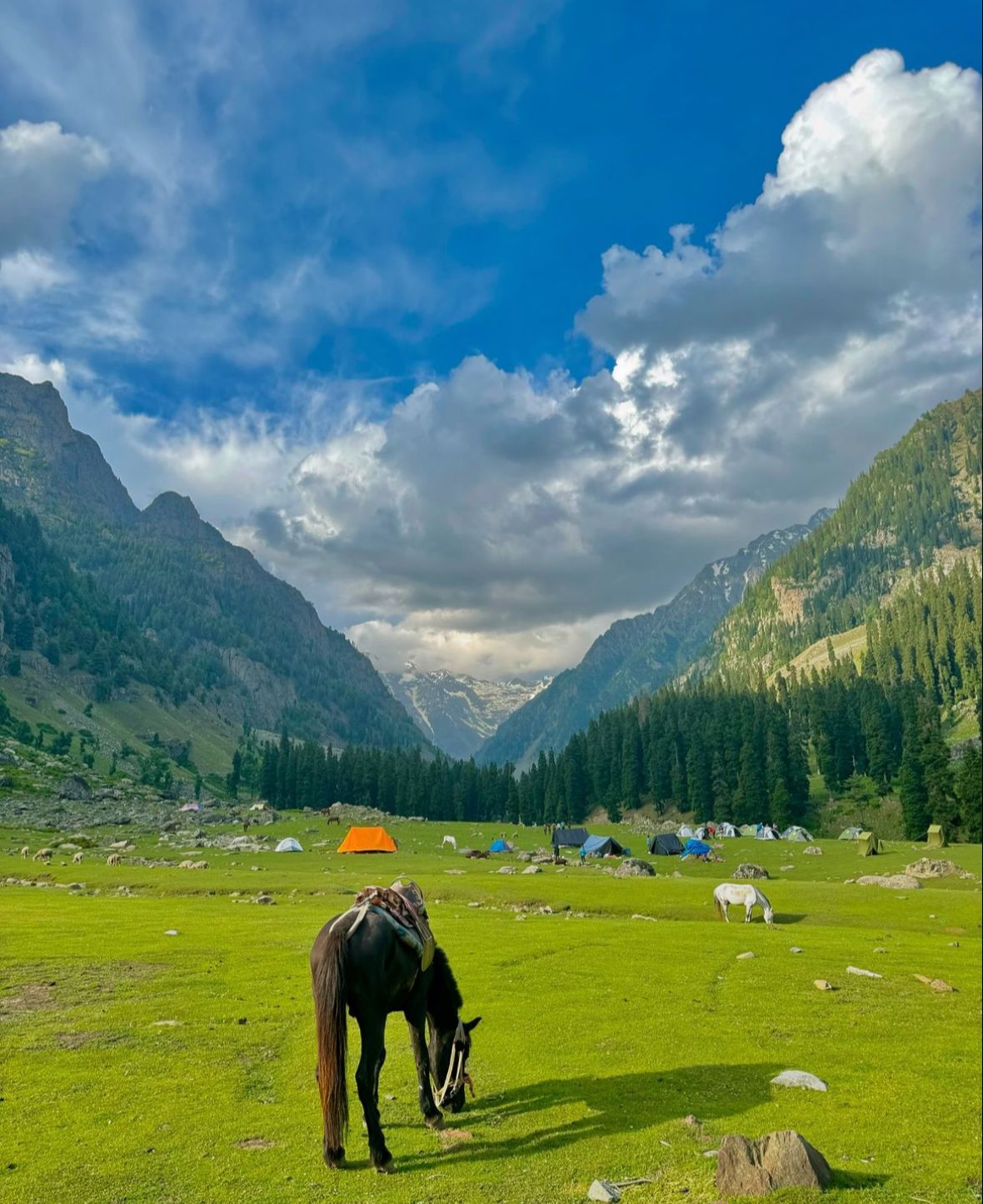 Map My Destination photo 2