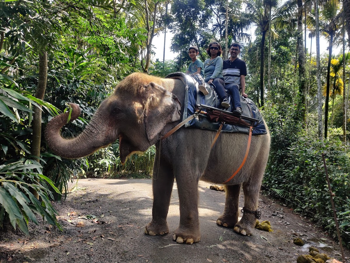 Bhagyashri Holidays photo 4