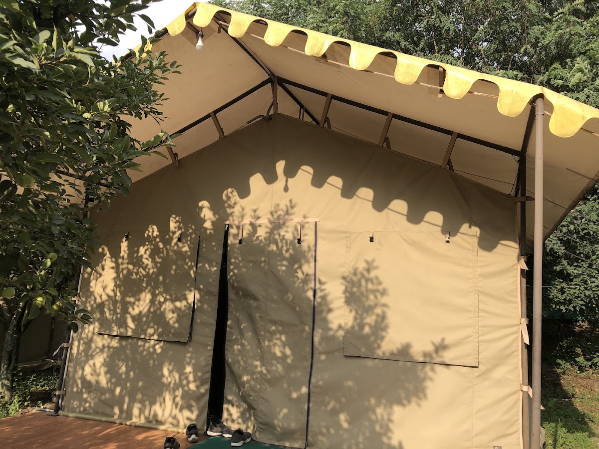 My Trip Destinations Tours photo 2