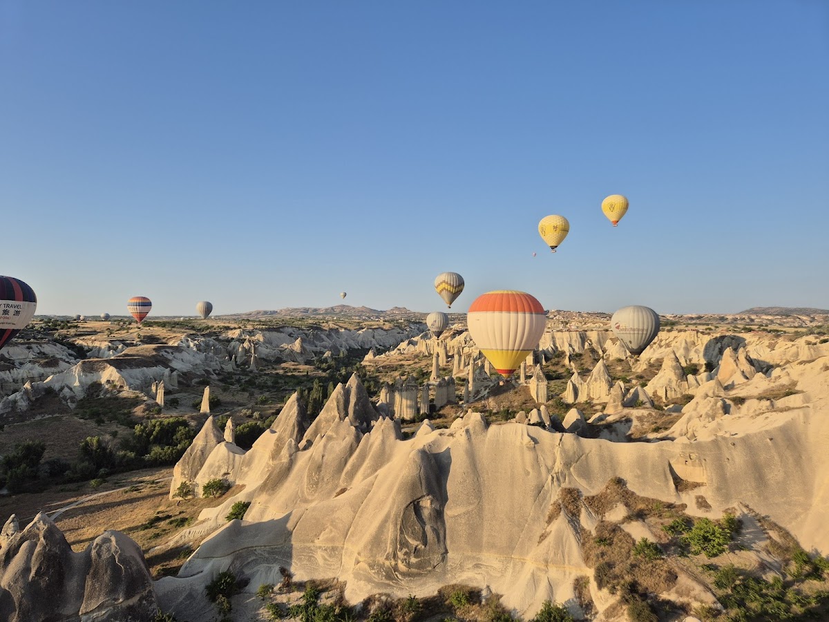 Bookviaus India photo 2