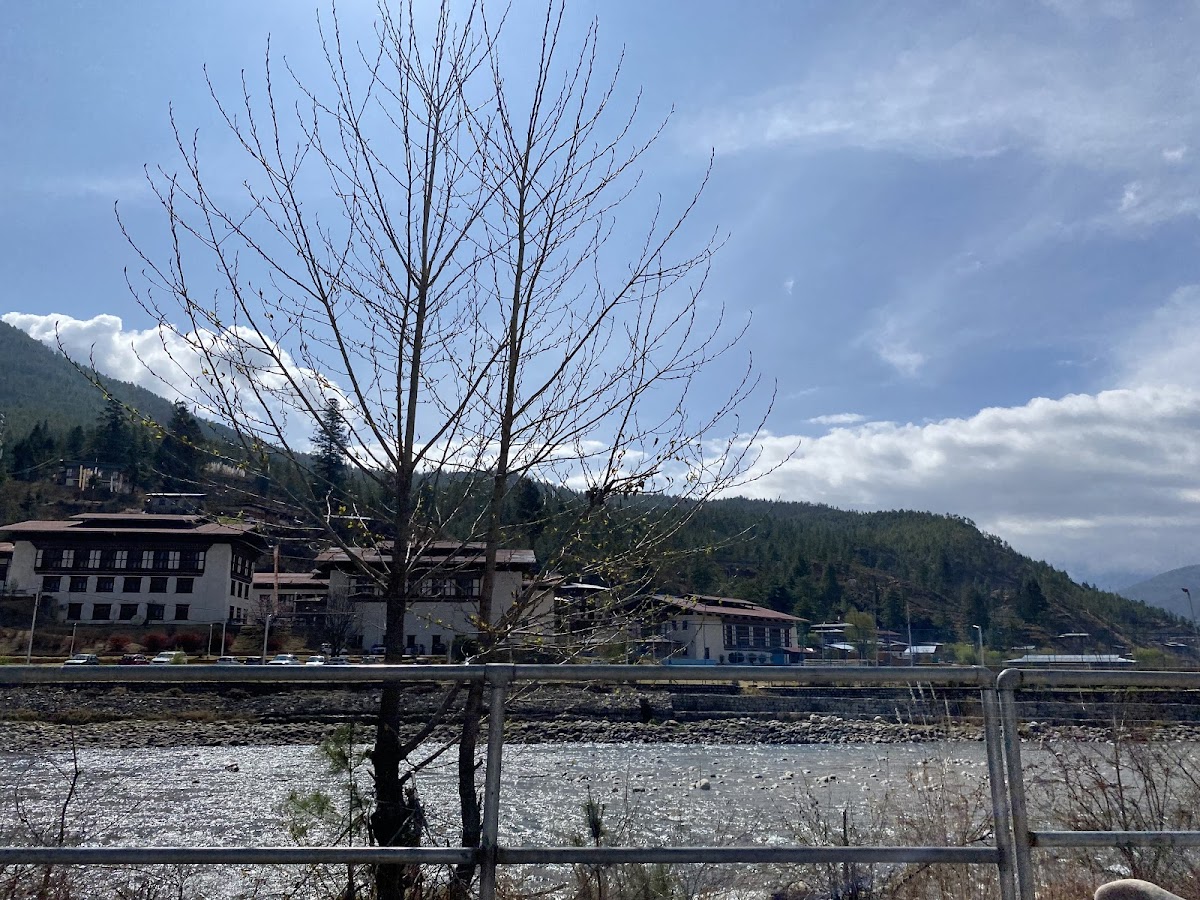 L B Tour and Travels photo 3