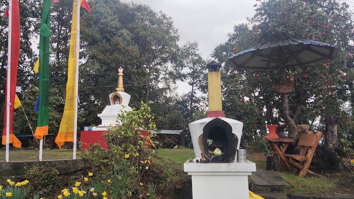 Grand Eastern Holidays photo 3