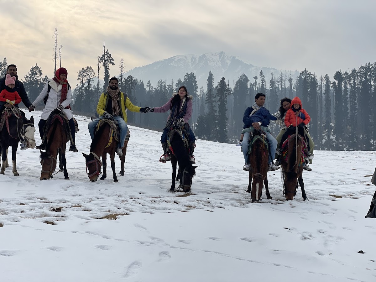 City center tour and travel photo 2