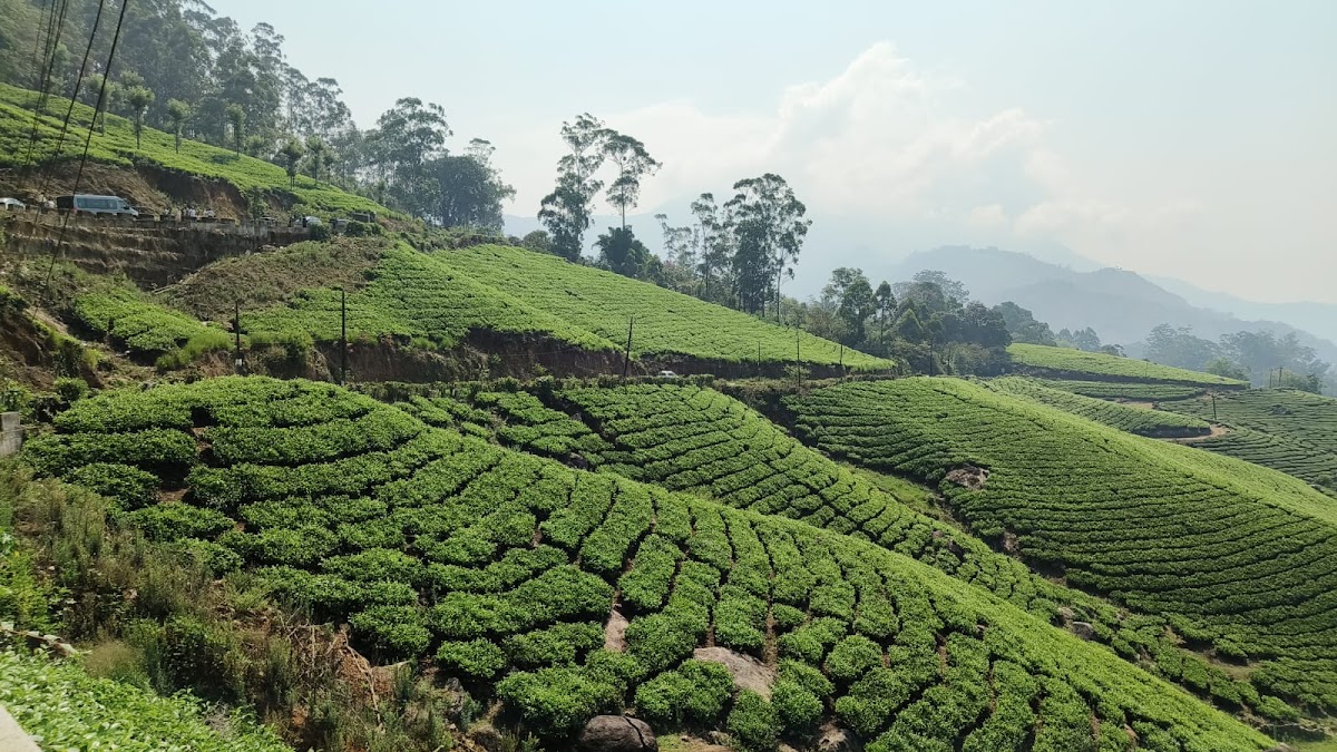 FAREPAYER PVT LTD photo 4