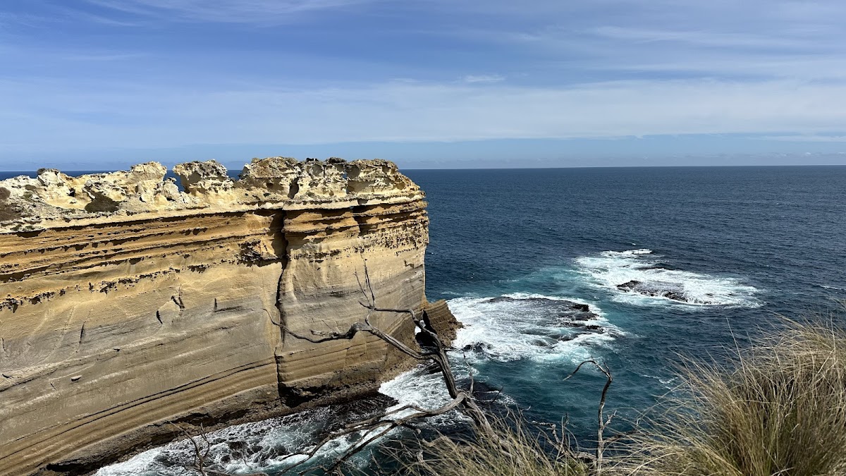 Wanderbird Holidays photo