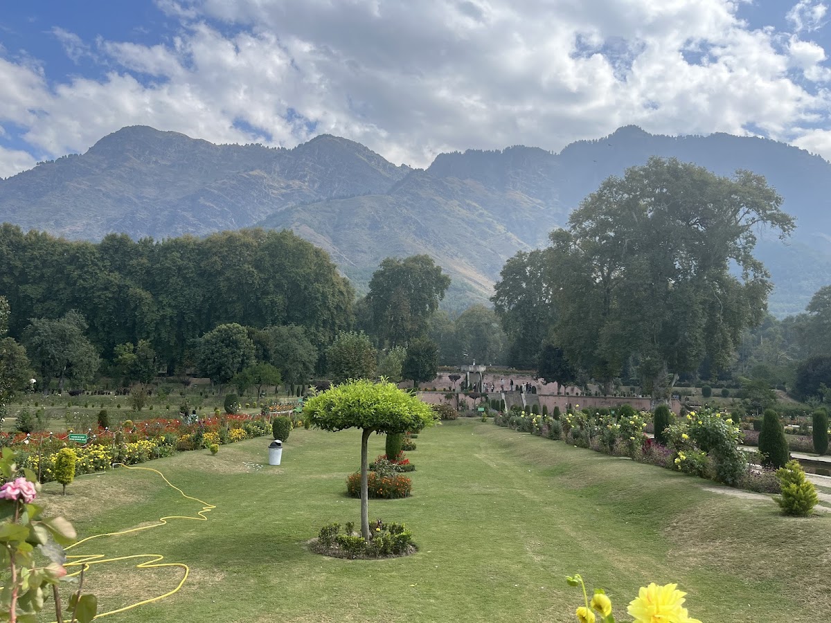 LONE TOUR AND TRAVELS photo 3