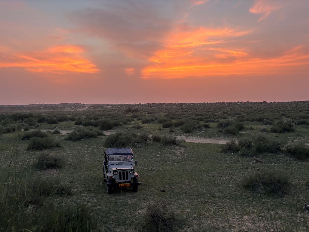 TripOra Holidays photo 2