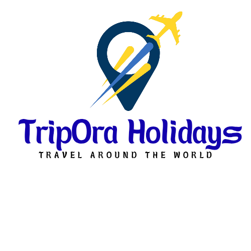 TripOra Holidays photo 4