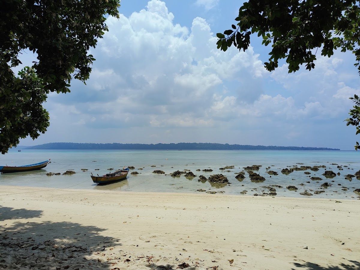 OOLLASA TRIPS photo 3