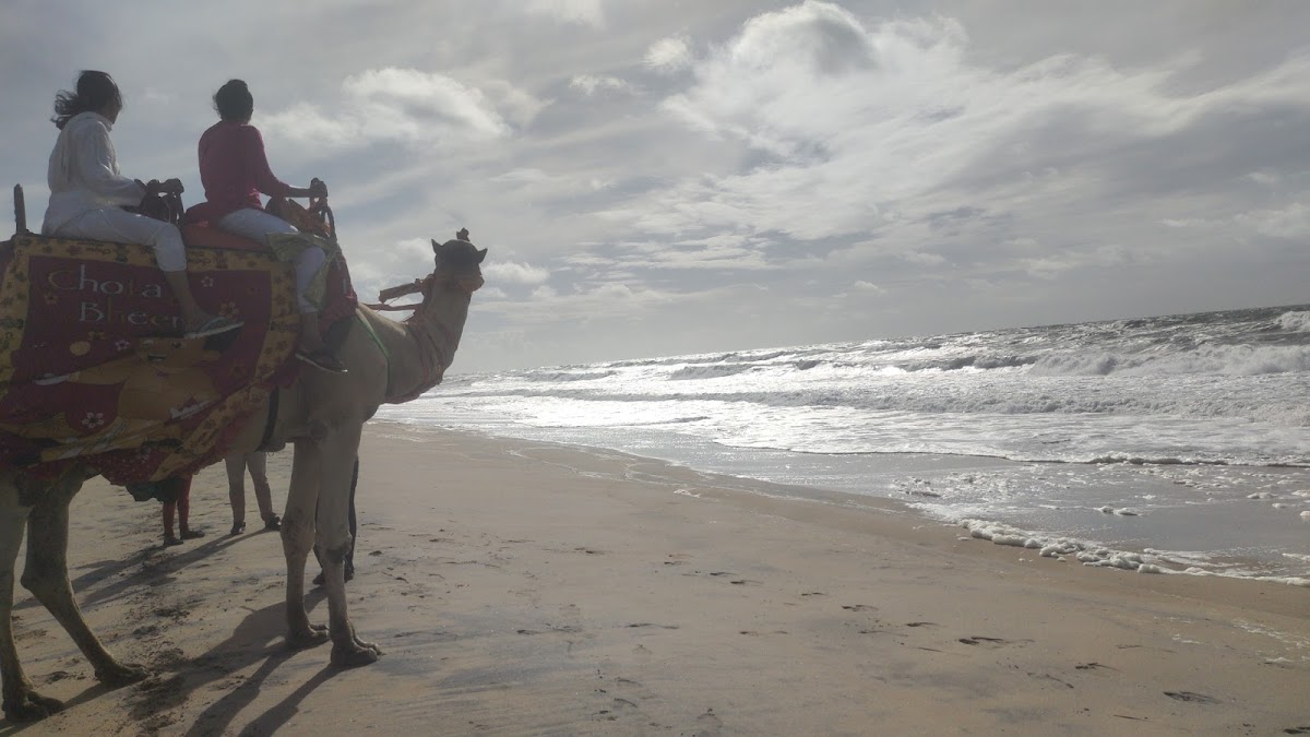 Moksha Tour Planner photo 3