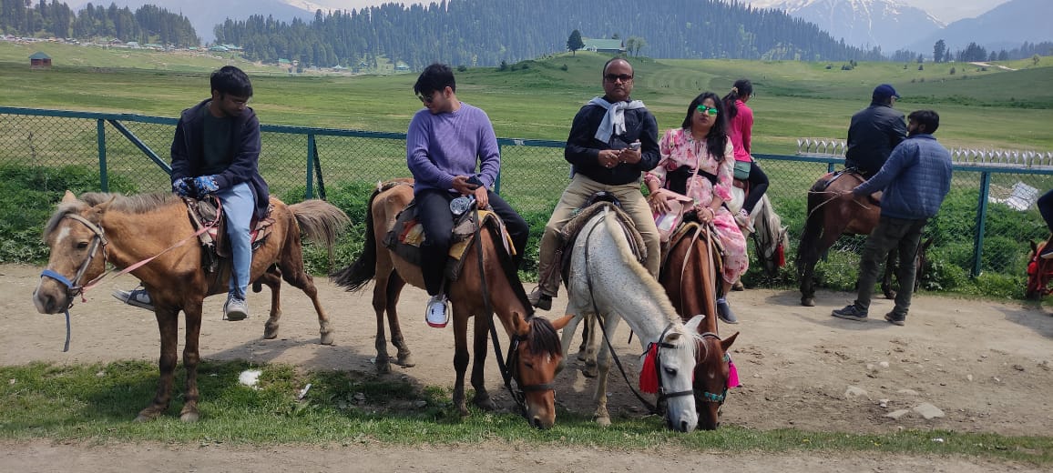 Travel-yatra.com (A unit of Flying bird travel pvt. ltd.) photo 4