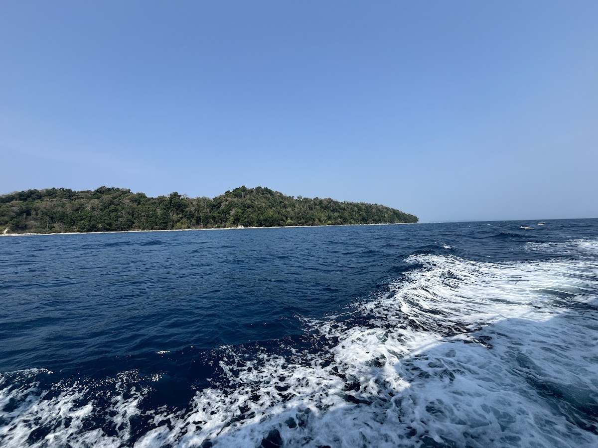 ANDAMAN ECSTASY PRIVATE LIMITED photo