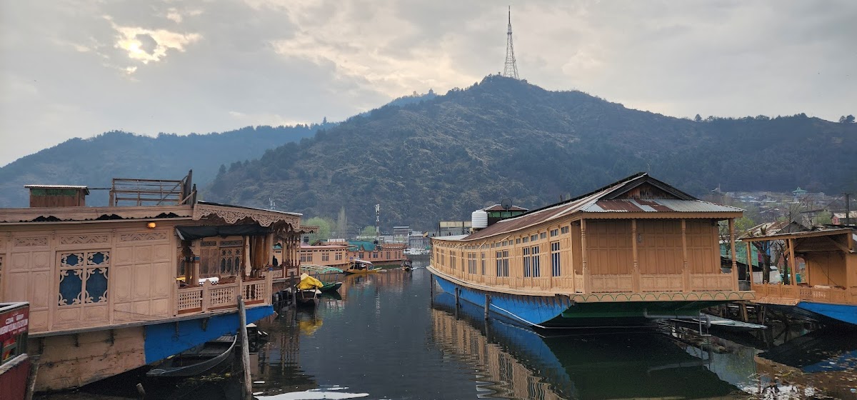 Fly and See tour and travels photo 3