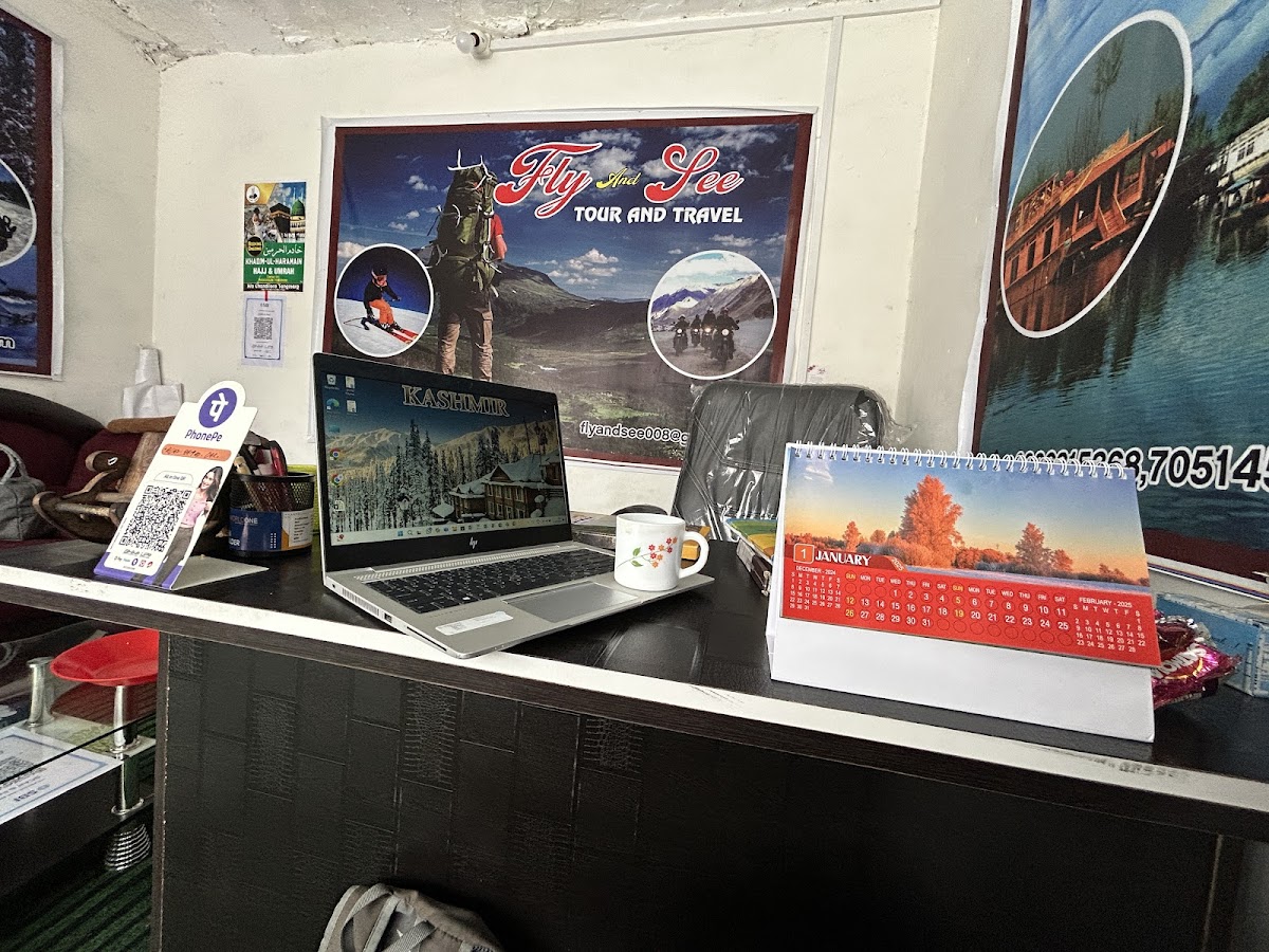 Fly and See tour and travels photo 4