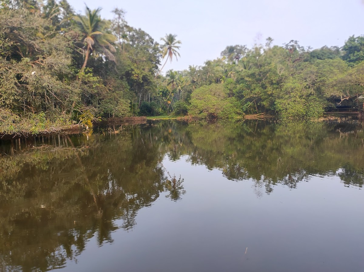 GOA ORIGINALS photo 2