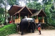 Shrijay Tours n Travels photo 2