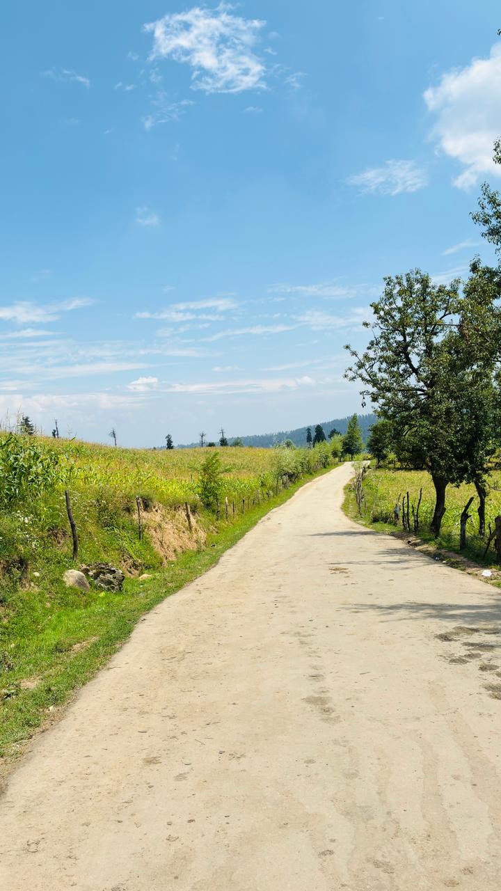Fern and Footsteps Travels photo 4