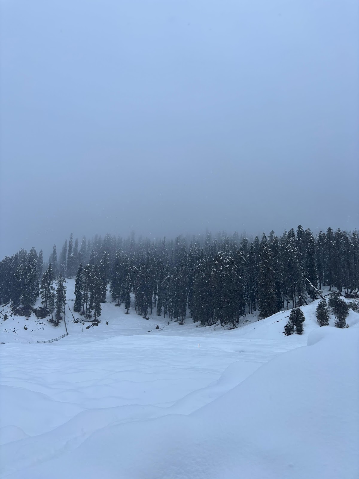 The Wanderlust Explorers photo 2