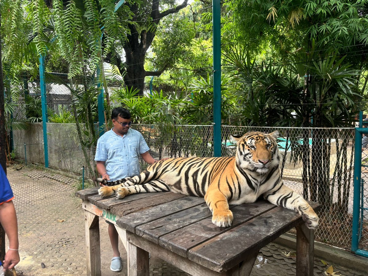 Global Travel photo 2