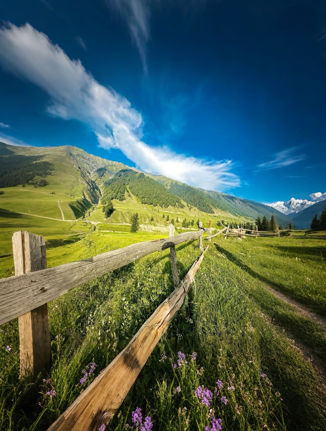 Peakhills Holidays photo 2