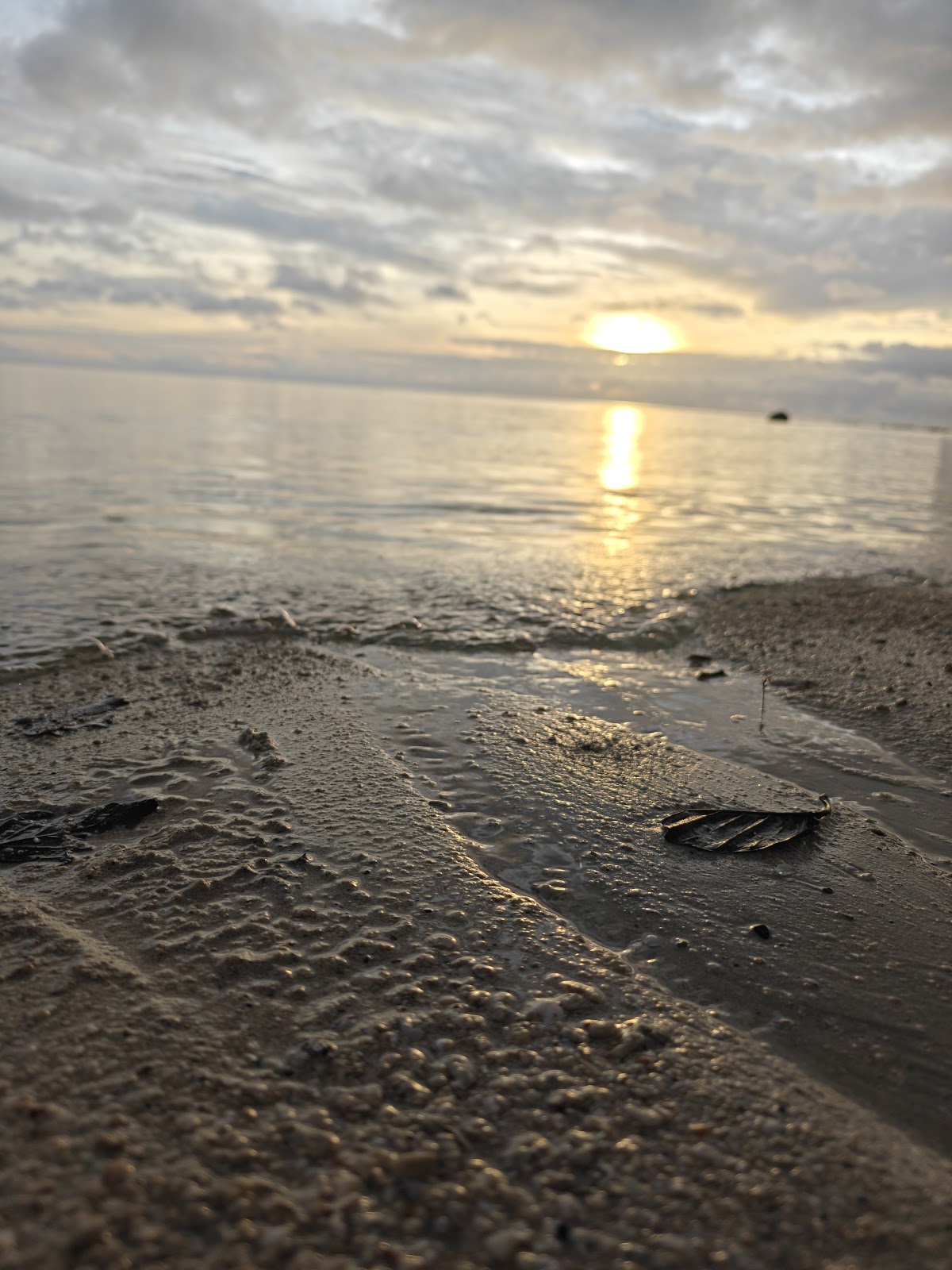 JOURNEY ANDAMAN photo 4