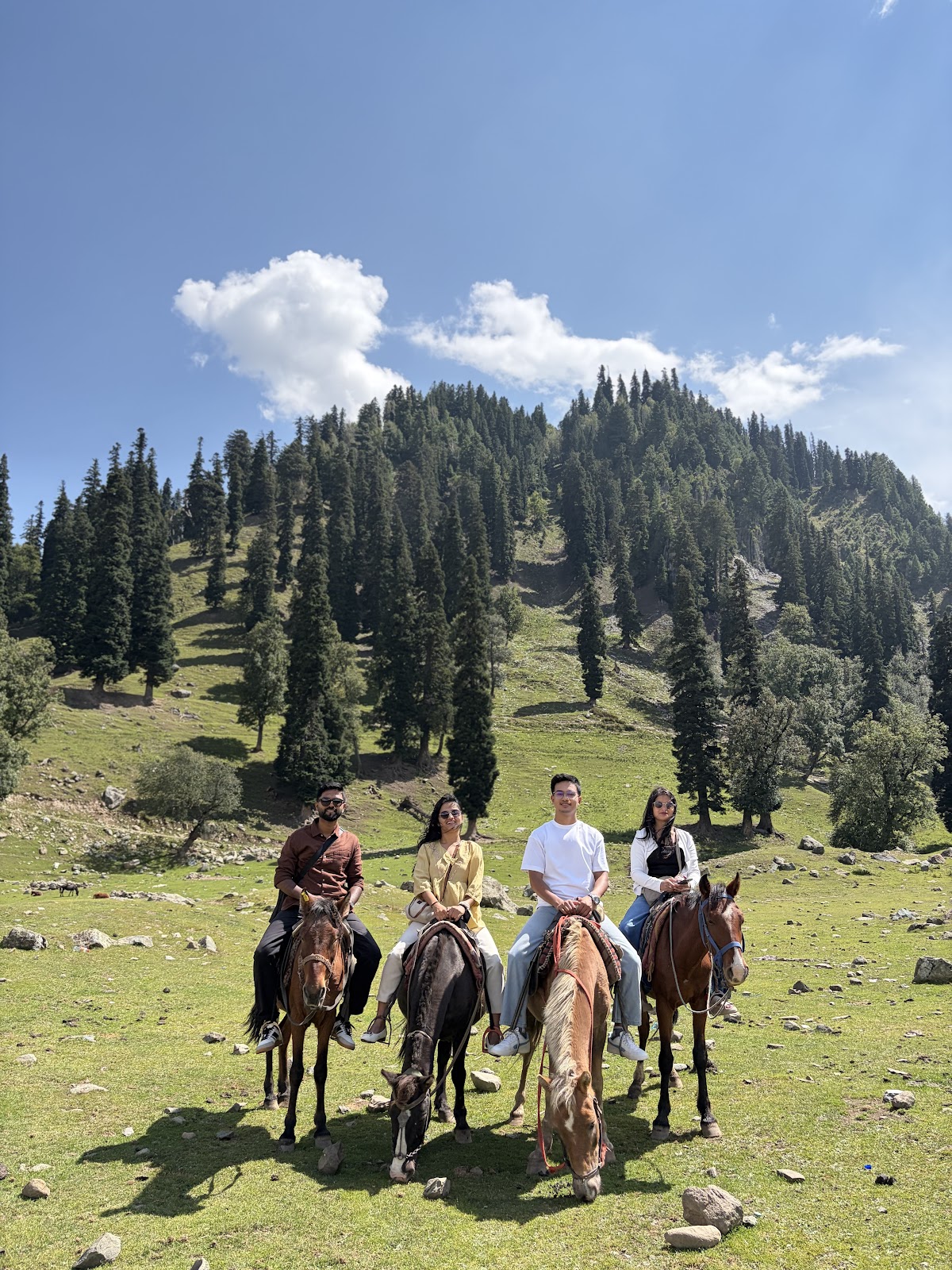 Traveletioskashmir photo 3