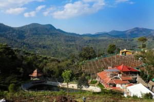 Chow Chow Valley by NHospitality Image