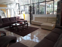 Misty Green woods Image