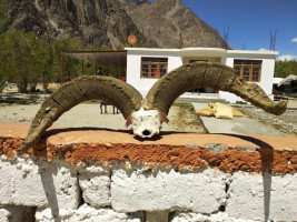 Royal Riders Camp Image