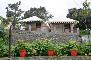 Charekh Food & Forest Image