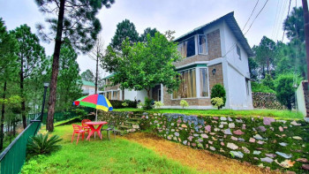 Blue Pine Orchards Image