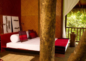 Rainforest Resort Image