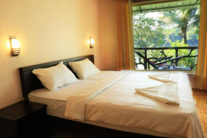 Elephant Pass Ayurveda & Yoga Retreat Image