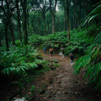 Sathram Camp and Homestay Image