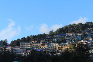 Hotel Pine Spring Image