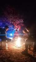 Friends Camping Image